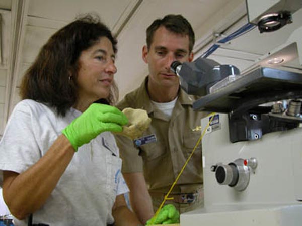 Shirley Pomponi and LTJG Shawn Maddock view a sponge