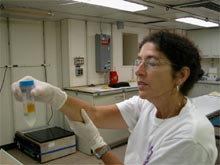 Dr. Shirley Pomponi isolating pure Forcepia cells for culture