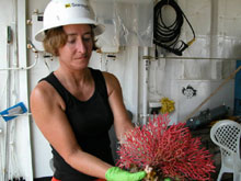 Gail Samples displays a coral collected during one of the day’s dives.