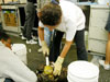 Shirley Pomponi removing a bright yellow sponge from a sea floor sample.