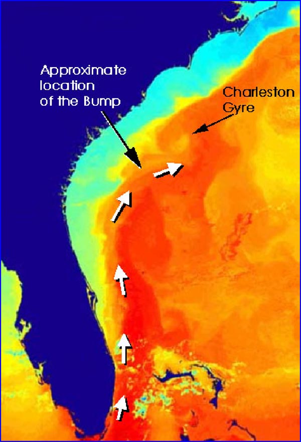 Path of the Gulf Stream and Charleston Gyre easily identified in this map.