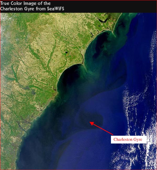 Sea-viewing Wide Field-of-view Sensor (SeaWiFS) image of the Charleston Gyre 