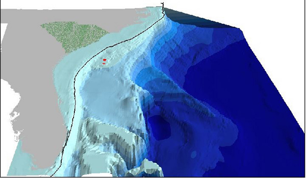 Three-dimensional representation of ocean topography off the southeast portion of the United States.