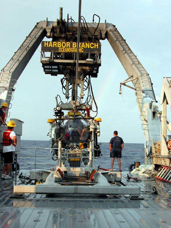Johnson-Sea-Link (JSL) submersible being recovered