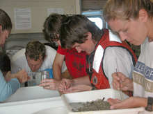 Doni contributes to the teamwork by helping out in the wet lab, sorting specimens from a Tucker trawl tow