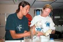 Research biologist, Tara Casazza, and Watch Chief, Ann Marie Necaise do the initial work up at sea.