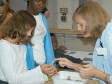 Students view some of the deep sea corals and sponges