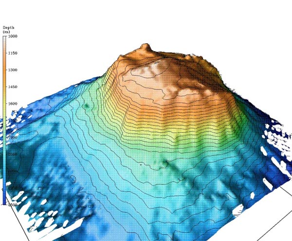 A multibeam bathymetric image of Bear Seamount