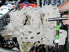 A large sponge in the basket of the submersible Alvin, collected during the Dive & Discover cruise.