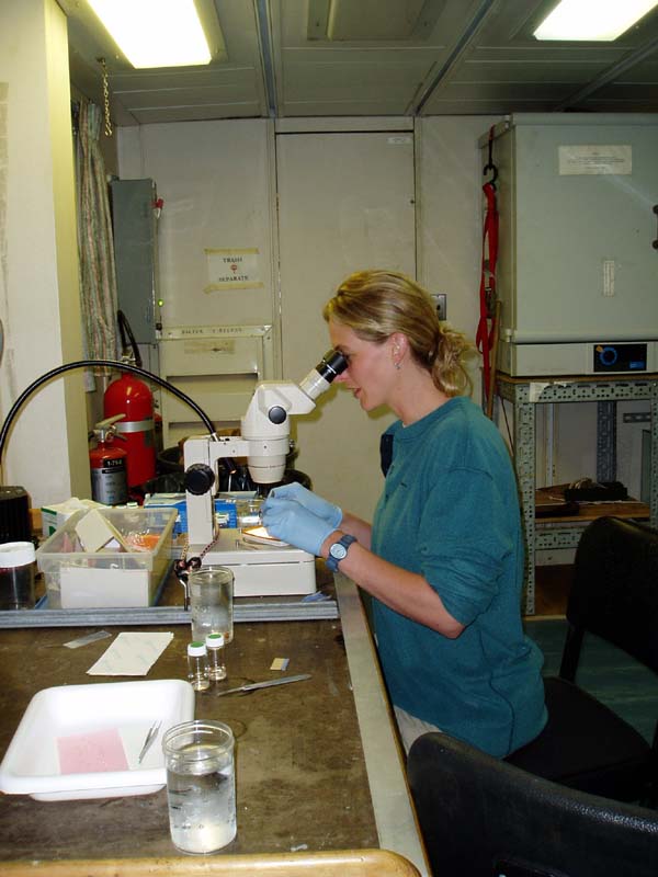 Anne Simpson studying coral polyps