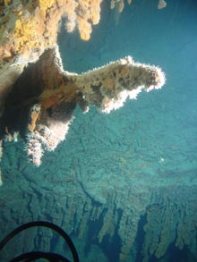 Secondary rusticle growth hanging from the stern of RMS Titanic