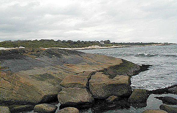 Black Point (Narragansett Bay, Rhode Island) rocky intertidal zonation.