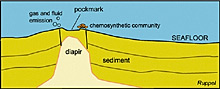 Schematic diagram of a diapir rising up through the sediments