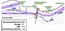 Schematic diagram depicting the dynamics of a gas hydrate reservoir
