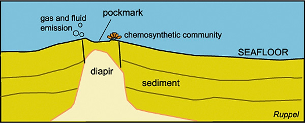 Schematic diagram of a diapir