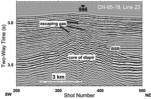 Single channel seismic data collected by the USGS crossing the Blake Ridge Diapir from southwest to northeast provides an image of the subseafloor.