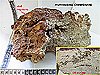 Authigenic carbonate rock collected on the Blake Ridge Diapir