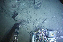 Alvin's manipulators collecting a rock at the Cape Fear Diapir