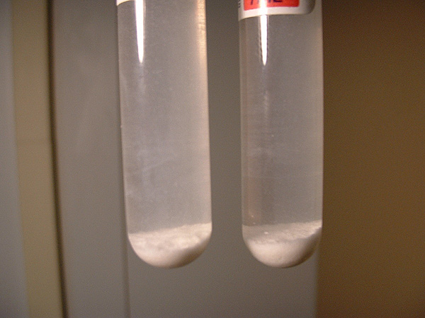 Zinc sulfide collected in the bottom of test tubes