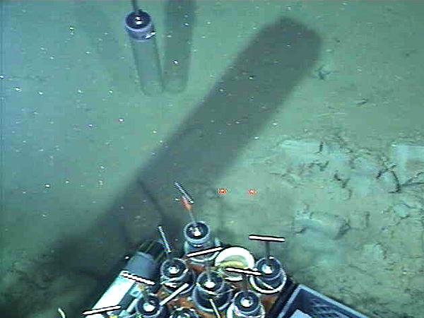 A push core being inserted into the thick muddy sediment at 2156 m during dive 3913.