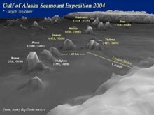 A northwest view of the Gulf of Alaska submarine volcanic chain.