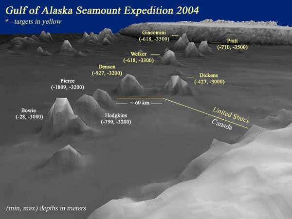 A northwest view of the Gulf of Alaska submarine volcanic chain.