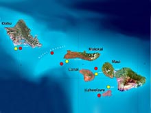 Locations surveyed for deep water algae with the submersibles (red) and remotely operated vehicle (yellow) in Hawaii.