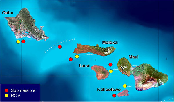 Locations surveyed for deep water algae with the submersibles (red) and remotely operated vehicle (yellow) in Hawaii.