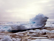 The dynamic nature of the Arctic environment.