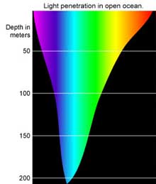 Light Wavelength vs Depth