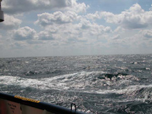 Rough seas in the Gulf of Mexico.