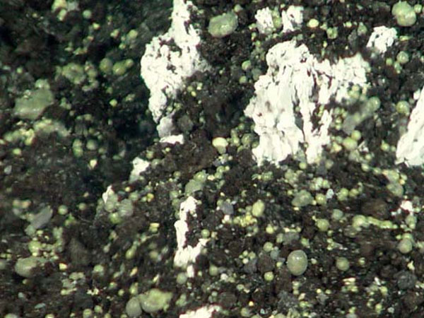 Sulfur balls littering the seafloor near Brimstone Pit. 