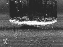 A side-scan sonar image of the passenger freighter Robert E. Lee.