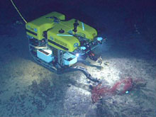 Recovering the basalt recruitment block experiment with the Hercules ROV.