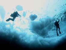 Ice divers during a dive in the Canada Basin from the ROV perspective. 
