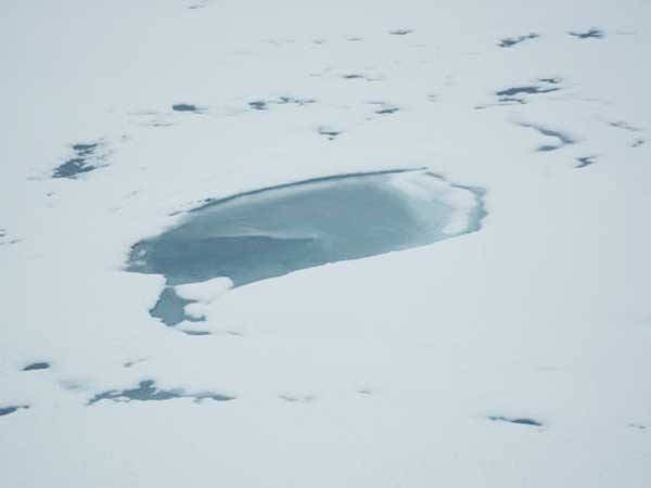 Some of the puddles are melted through the entire ice floe thickness and are used by our divers.