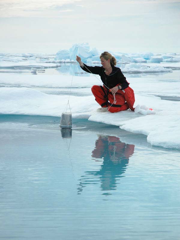 Mette Nielson lowers a baited amphipod trap into Arctic waters.