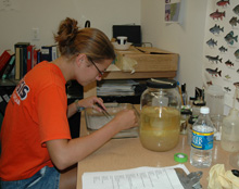 Jennie begins her career sorting plankton in the lab.