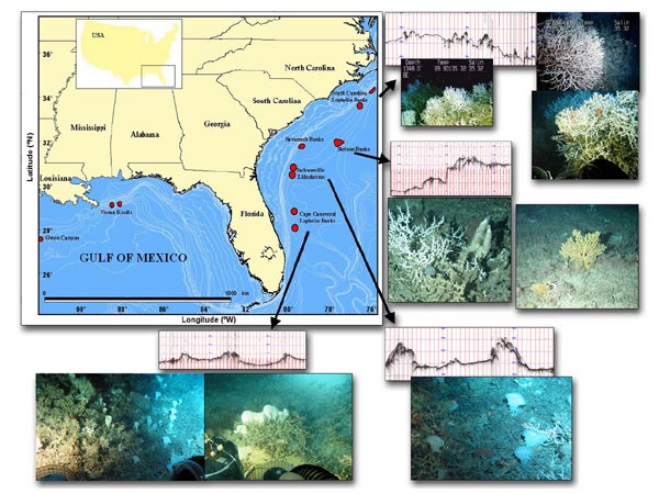 Figure 1. This map of the southeastern US and Gulf of Mexico shows our current study areas.
