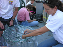 Melissa Partyka fabricating experimental fish trap.