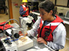 Tara Casazza examining specimen of eel larvae obtained via Neuston net.