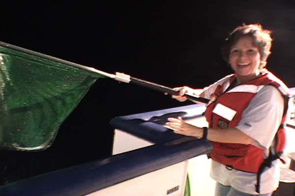 Reneé Green and a specimen of halfbeak she caught during a nightlighting session