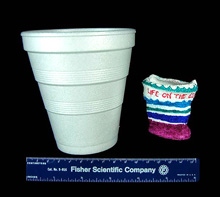 A standard 8.5-ounce styrofoam cup compared with a cup, originally the same size, that has been attached to exterior of the Johnson-Sea-Link submersible and taken to operating depth.