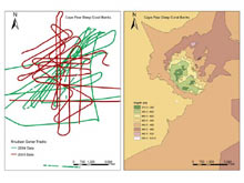 Two years of ship tracks plotted over the Cape Fear deep coral bank area off North Carolina.