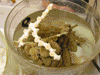 Collection of images of marine samples collected during the Life on the Edge 2005 Exploration.