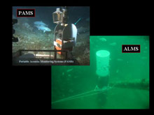 Remote acoustic recording systems (PAMS, ALMS) placed on the bottom to record fish sound production related to spawning and social interactions.