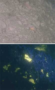 Appearance of methane hydrates on the sea floor