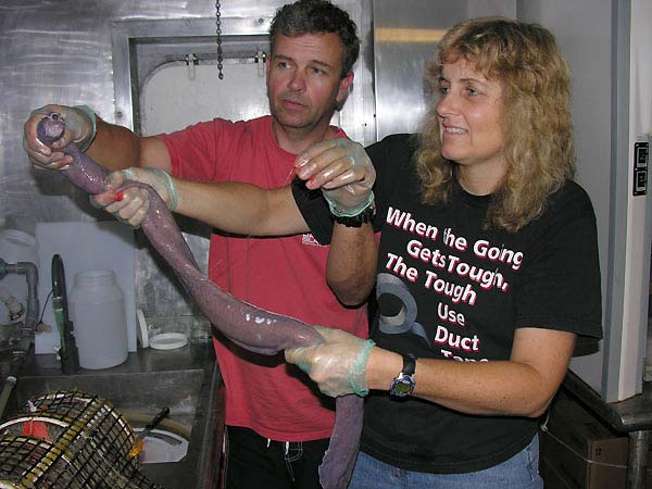 Scientists Justin Marshall and Tammy Frank holding one of the 'disgusting hagfish' captured in Dr. Frank's trap.