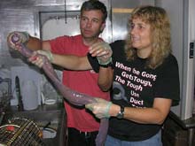 Scientists Justin Marshall and Tammy Frank holding one of the 'disgusting hagfish' captured in Dr. Frank's trap