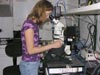 Research Technician Karen Konzen at the microscope specially designed to view fluorescence.